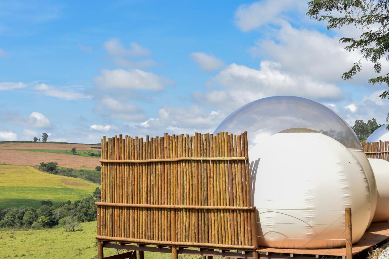 Bubble Pingo Do Mula Serra Da Canastra São Roque de Minas Exteriér fotografie