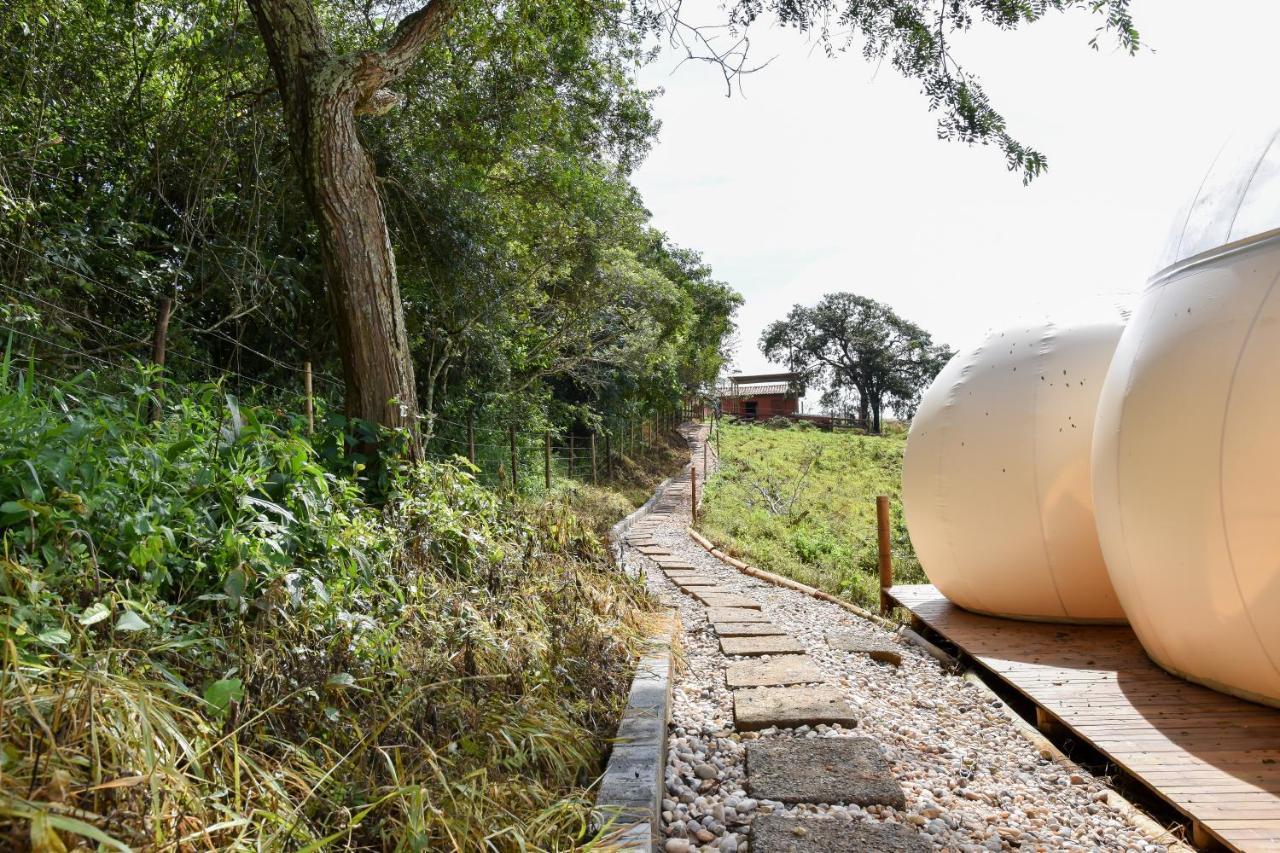 Bubble Pingo Do Mula Serra Da Canastra São Roque de Minas Exteriér fotografie